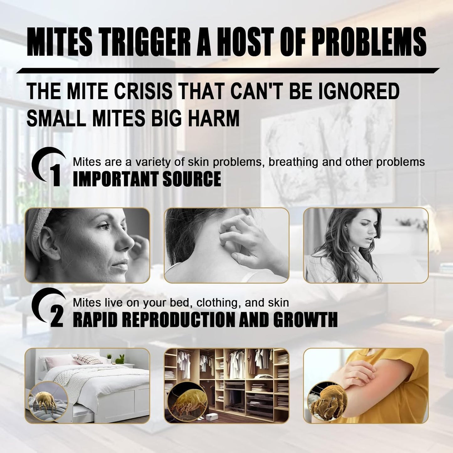 Bed Bugs Killer Pads