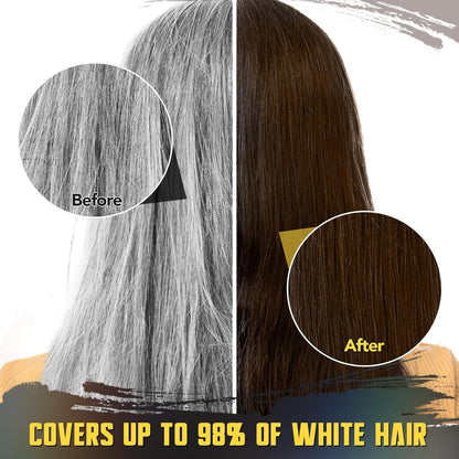 Cover Gray Hair Color Stick