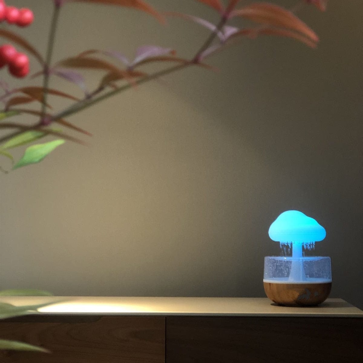 wickedafstore Rainy Cloud Humidifier